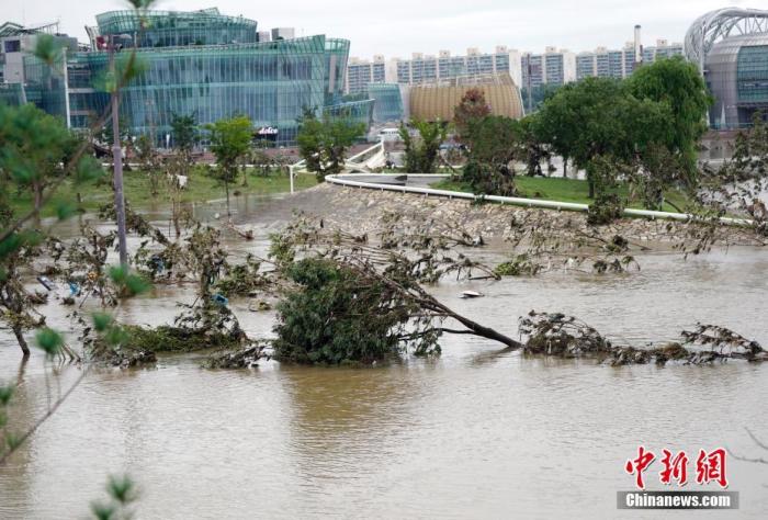 8月8日，首尔盘浦汉江公园内，多处步道、车道、停车场等被淹。连日暴雨致韩国首尔汉江水位猛增，附近部分道路、公园被淹。/p中新社记者 曾鼐 摄