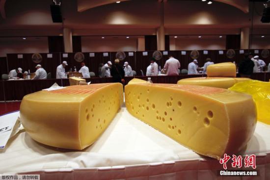 当地时间3月3日，美国威斯康星州麦迪逊的Monona Terrace会展中心举行的两年一度的世界奶酪锦标赛。这是世界上最大的奶酪、黄油和酸奶的技术竞争。今年来自26个国家的3667名参赛者创下了赛会纪录。